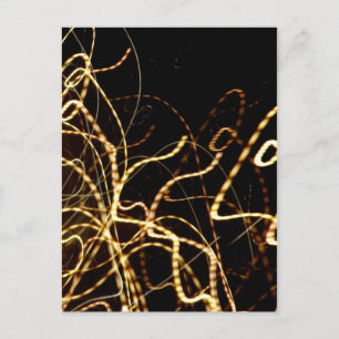 Night Lights Postcard