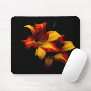 Night Lily... Mouse Pad