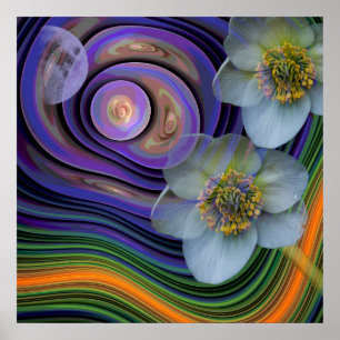 Night of the Helleboris, artistic abstract floral Poster