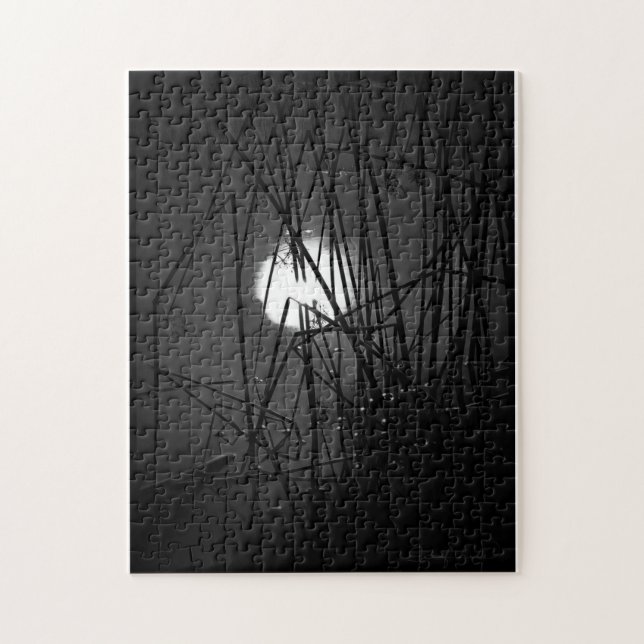 Night on the Pond Puzzle (Vertical)