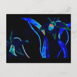 Night Orchid Postcard