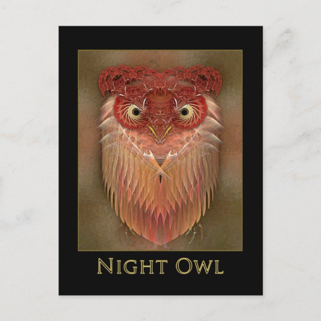 Night Owl Postcard (Front)