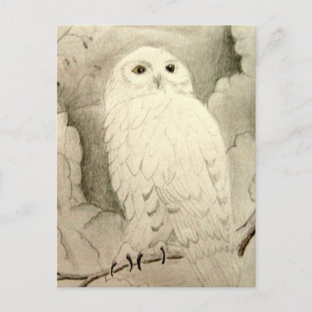 Night Owl Postcard (Front)