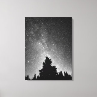 Night Sky Canvas Print