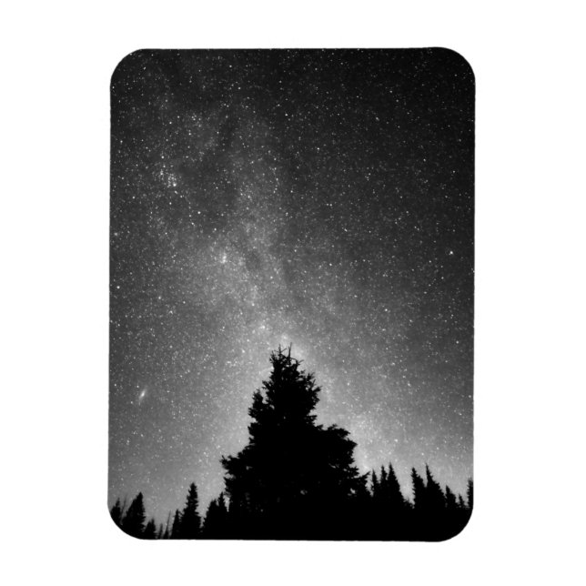 Night Sky Magnet (Vertical)