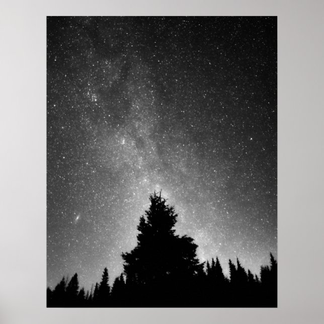 Night Sky Poster (Front)