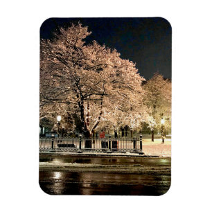 Night Snowstorm Salem Common Massachusetts Photo Magnet