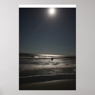 Night Swimming Poster