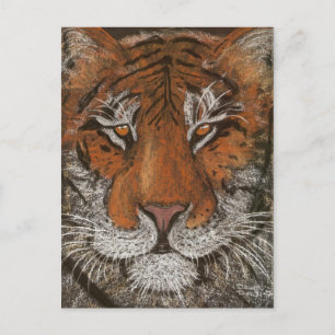 night tiger postcard