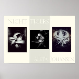 Night Tigers Poster (22.5 in. x 15 in.)