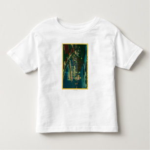 Night Time on Santa Catalina at Avalon Bay Toddler T-Shirt