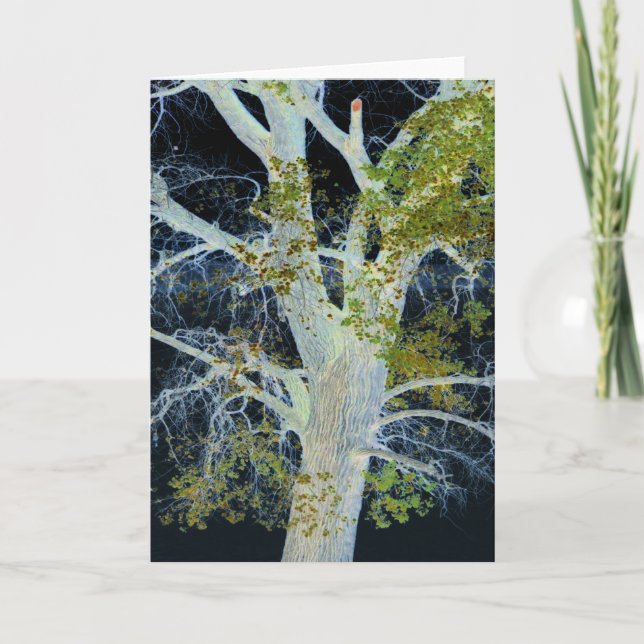 "Night Tree" Digitally altered image of Tree & Sky Card (Front)