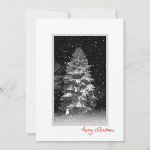 Night tree with snowflakes Christmas Card