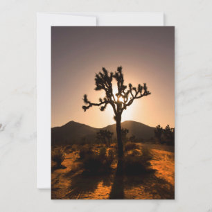 Nightfall begins at Joshua Tree  Card
