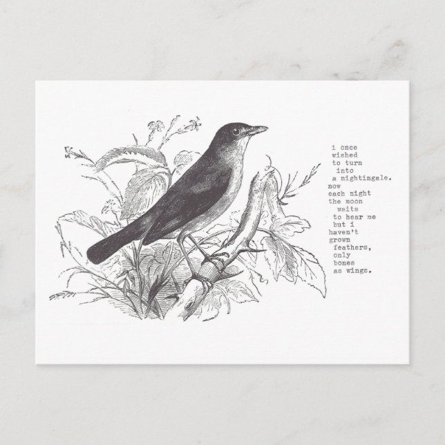 nightingale postcard (Front)