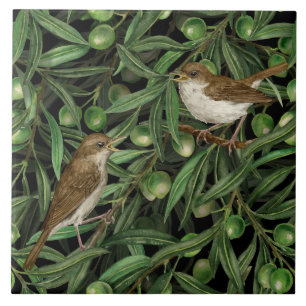 Nightingales in the olive tree 3 tile