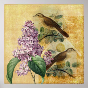 Nightingales with Lilac Poster