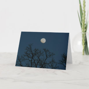 Nights Are Forever: A Love Note Holiday Card
