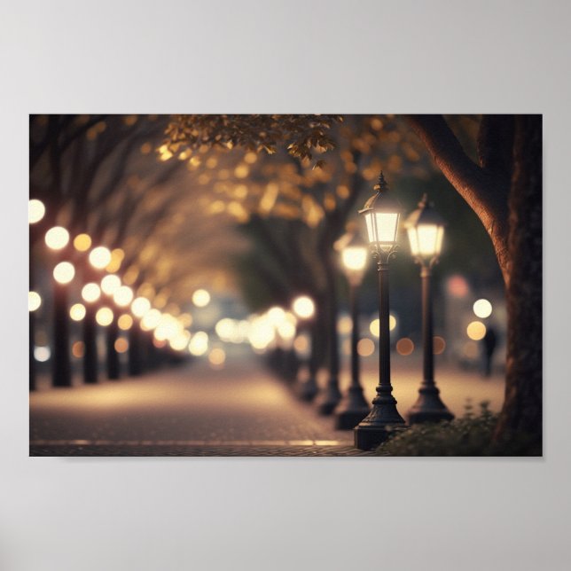 Nighttime at the Park with Bokeh lighting Poster (Front)