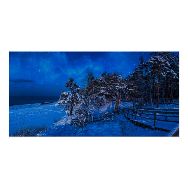 Nighttime winter scene with snow covered pines poster (Front)