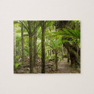 Nikau Palms, Heaphy Track, near Karamea, Jigsaw Puzzle