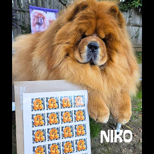 NIKO chow - ArtMuse PORTAL Series Square Sticker