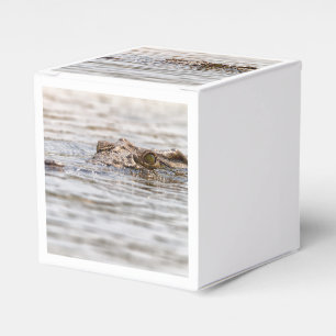 Nile Crocodile Favour Box