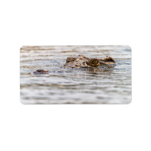 Nile Crocodile Label