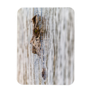 Nile Crocodile Magnet