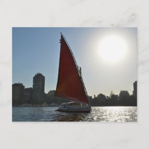 Nile Felucca In The Sun Postcard