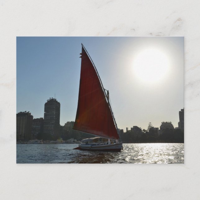 Nile Felucca In The Sun Postcard (Front)