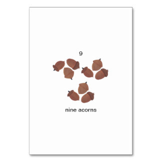 Nine acorns, custom number flashcards table number