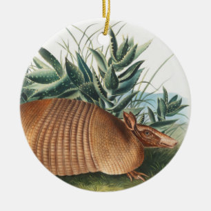 Nine-banded Armadillo (Dasypus Peba) Illustration Ceramic Tree Decoration