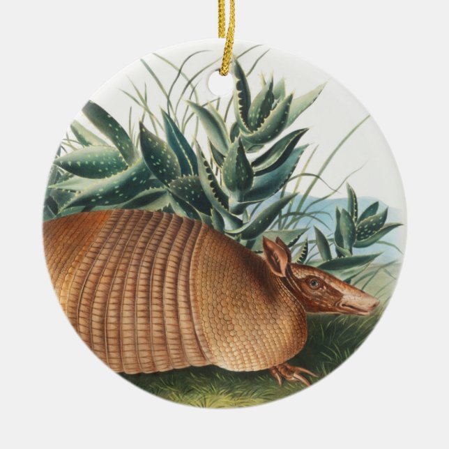 Nine-banded Armadillo (Dasypus Peba) Illustration Ceramic Tree Decoration (Front)