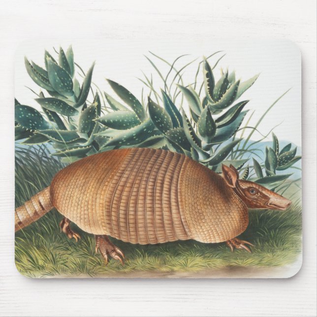 Nine-banded Armadillo (Dasypus Peba) Illustration Mouse Pad (Front)