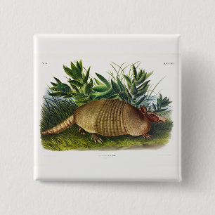 Nine-Banded, Long-nosed Armadillo by Audubon 15 Cm Square Badge