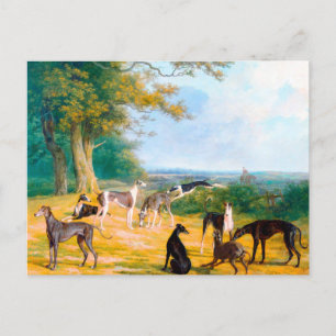 Nine Greyhounds in a Landscape by Jacques-Laurent  Postcard