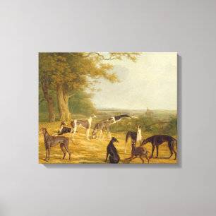 Nine Greyhounds in a Landscape (oil on canvas) Canvas Print