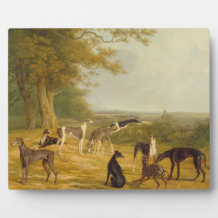 Nine Greyhounds in a Landscape (oil on canvas) Plaque