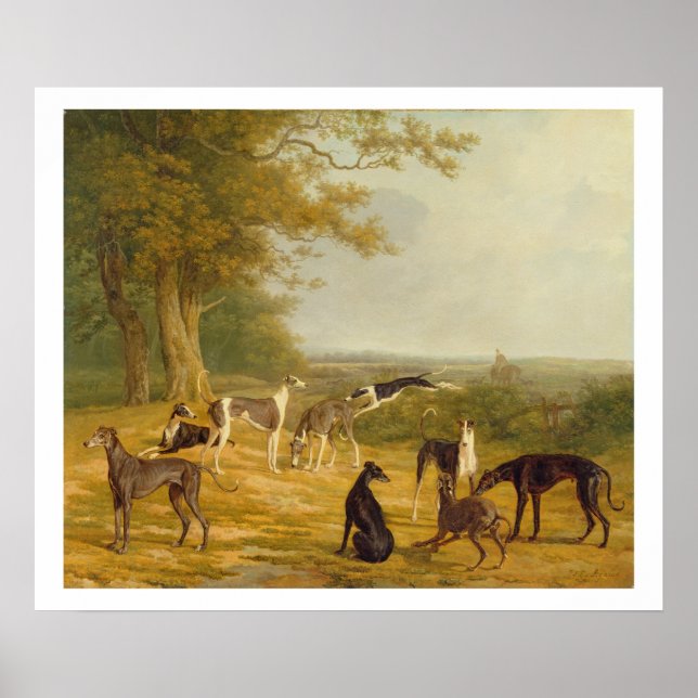 Nine Greyhounds in a Landscape (oil on canvas) Poster (Front)
