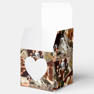 Nine Meerkat Triangles, Party Favour Box