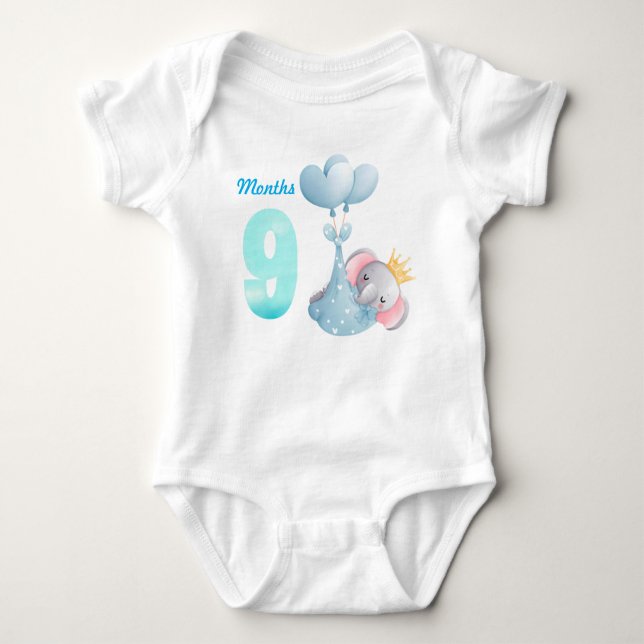 Nine months baby bodysuit (Front)