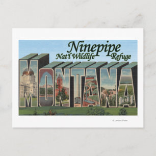Ninepipe Nat'l Wildlife Refuge, Montana Postcard