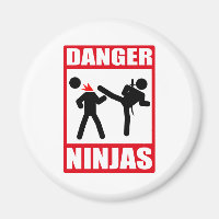 Ninja Academy Okinawa Kill Bill