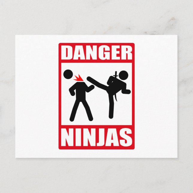 Ninja Academy Okinawa Kill Bill Postcard (Front)