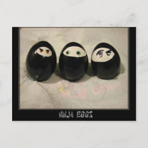 Ninja Eggs Postcard