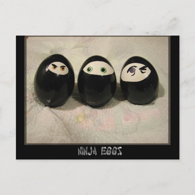 Ninja Eggs Postcard (Front)
