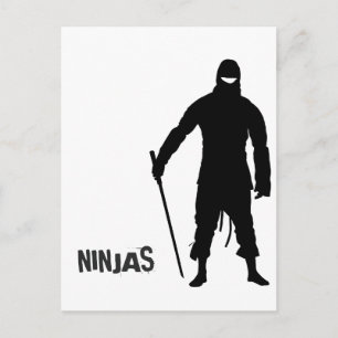 Ninjas Postcard