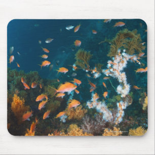 Nishiizumachi, Shizuoka Prefecture, Japan 2 Mouse Pad