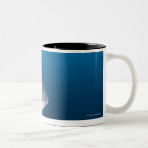 Nishiizumachi, Shizuoka Prefecture, Japan Two-Tone Coffee Mug
